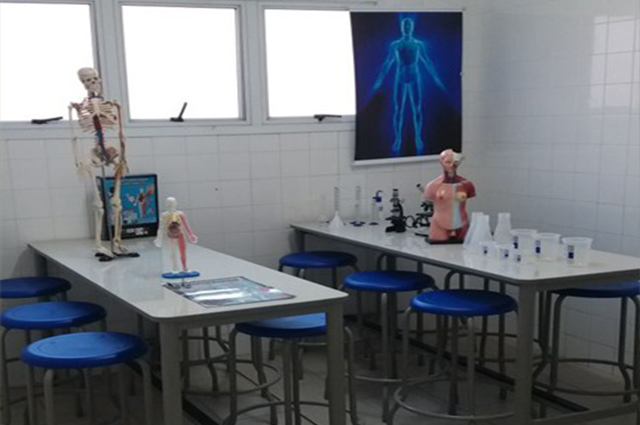 estrutura da Recriarte